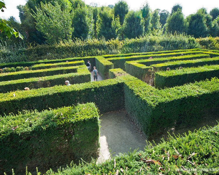 В рязанском ЦПКиО появится зеленый лабиринт