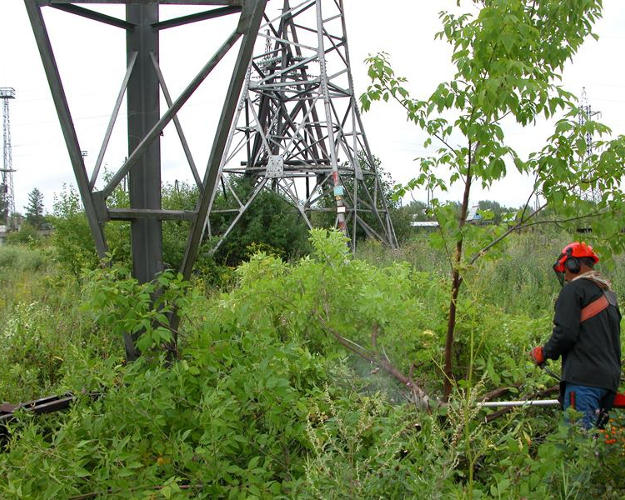 «Рязаньэнерго» расчищает просеки воздушных линий