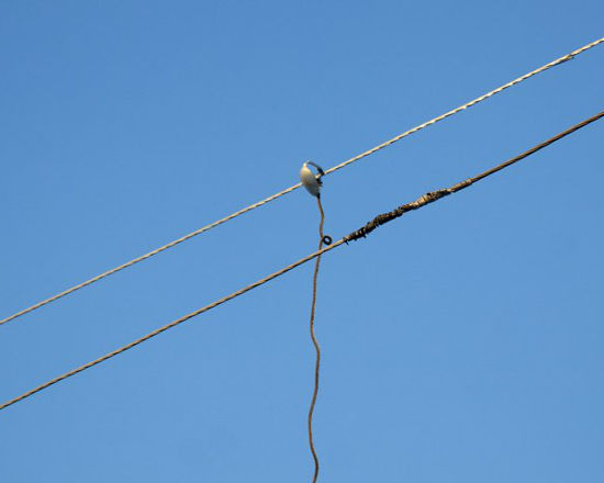 Сотрудники «Рязаньэнерго» выявили более 1000 случаев хищения электроэнергии