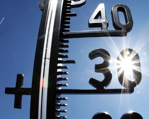 Жара в Рязани Жара в Рязани