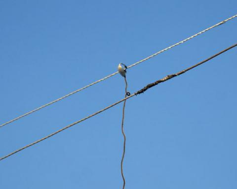 Хищение электричества Хищение электричества