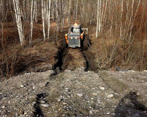 В Тамбовской области расчистят порядка 470 гектаров просек ЛЭП В Тамбовской области расчистят порядка 470 гектаров просек ЛЭП