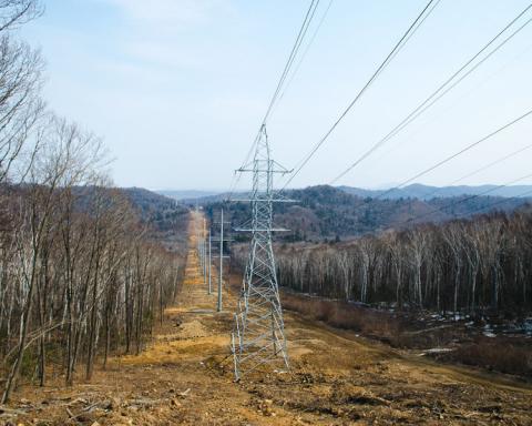 В Тамбовской области расчистят порядка 470 гектаров просек ЛЭП В Тамбовской области расчистят порядка 470 гектаров просек ЛЭП